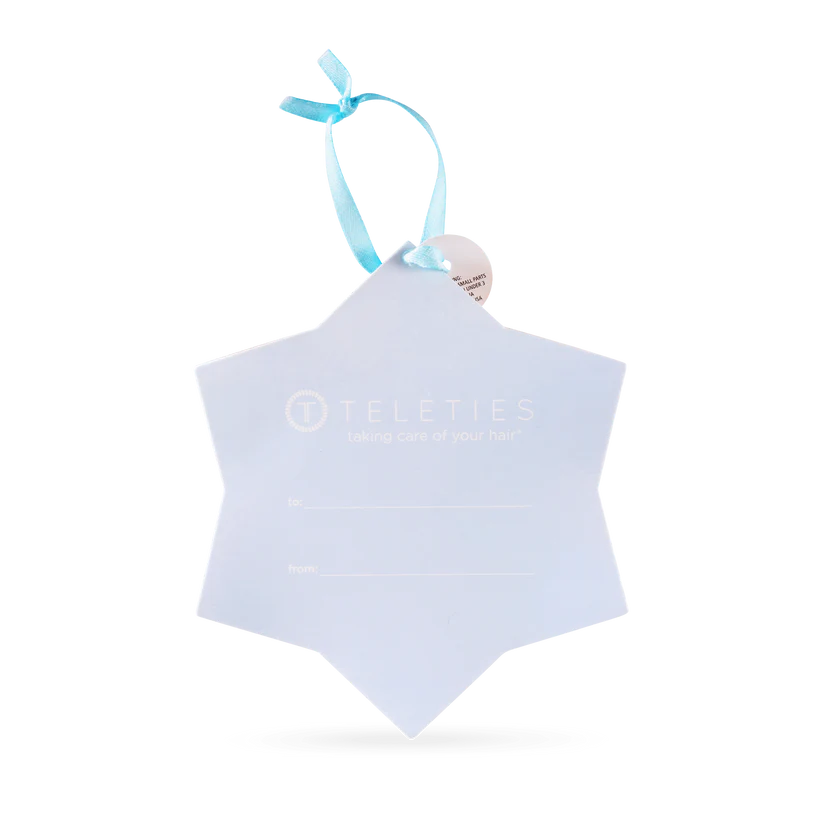 Snowflake Snap Clip Gift Set (6ct)